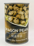 龍珠草菇半個 425克